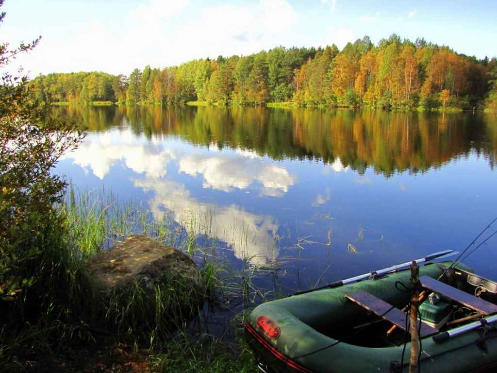 Как организовать рыбалку в Новосибирске. Купить червей и блесны в Новосибирске